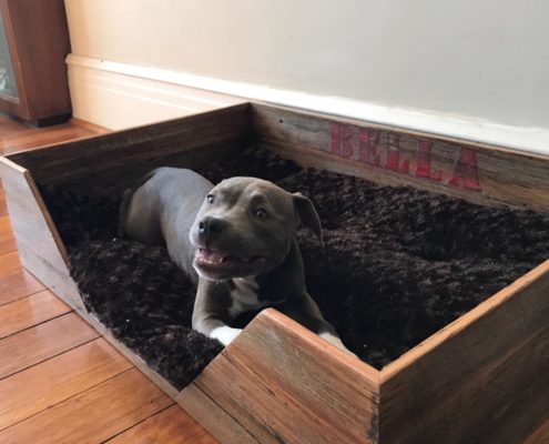 Recycled Timber Doggy Bed
